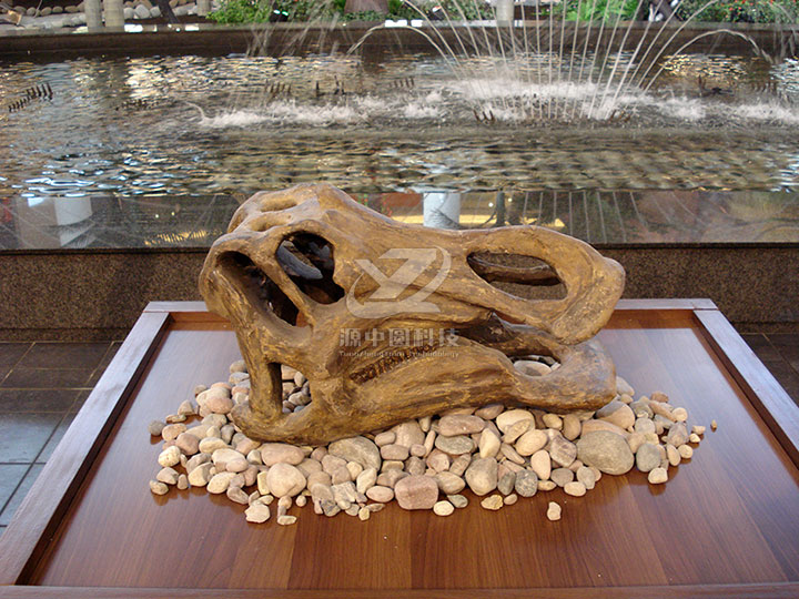 恐龍化石展出，恐龍骨頭標(biāo)本